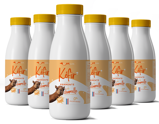 camelait lait fermenté entier de chamelle 6x0,5litre