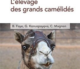 L'élevage des grands camélidés