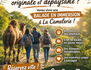 Balade en immersion