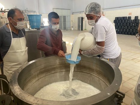 filtration lait de chamelle
