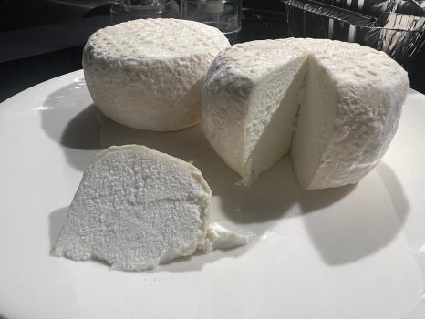 fromage de chamelle