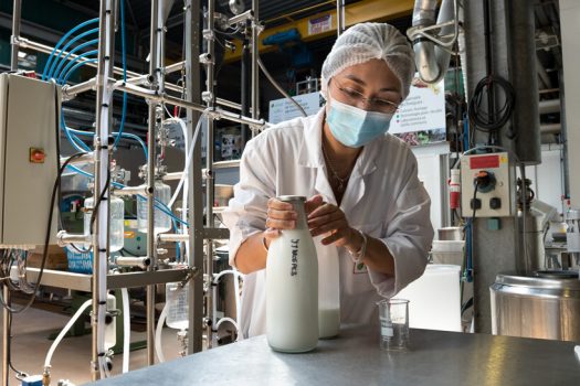 mise en bouteille lait de chamelle